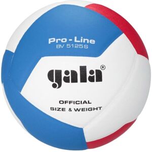 GALA BV5125 PRO-LINE 12 Röplabda labda, fehér, veľkosť 5