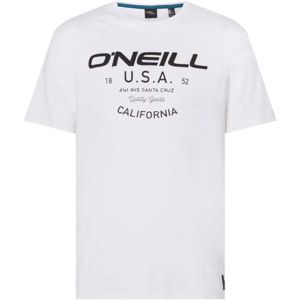 O'Neill LM DAWSON T-SHIRT fehér M - Férfi póló