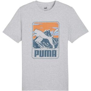 Puma GRAPHIC MOUNTAIN TEE Férfi póló, szürke, méret