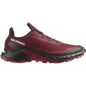 Salomon ALPHACROSS 5 Férfi terepfutó cipő, fekete, méret 44